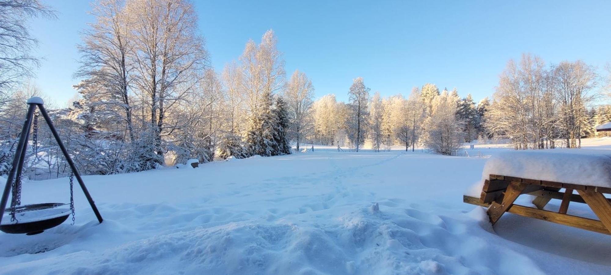 Nygard Cabins - Brandnew, Fully Equipped Home In Nature Sunne Extérieur photo