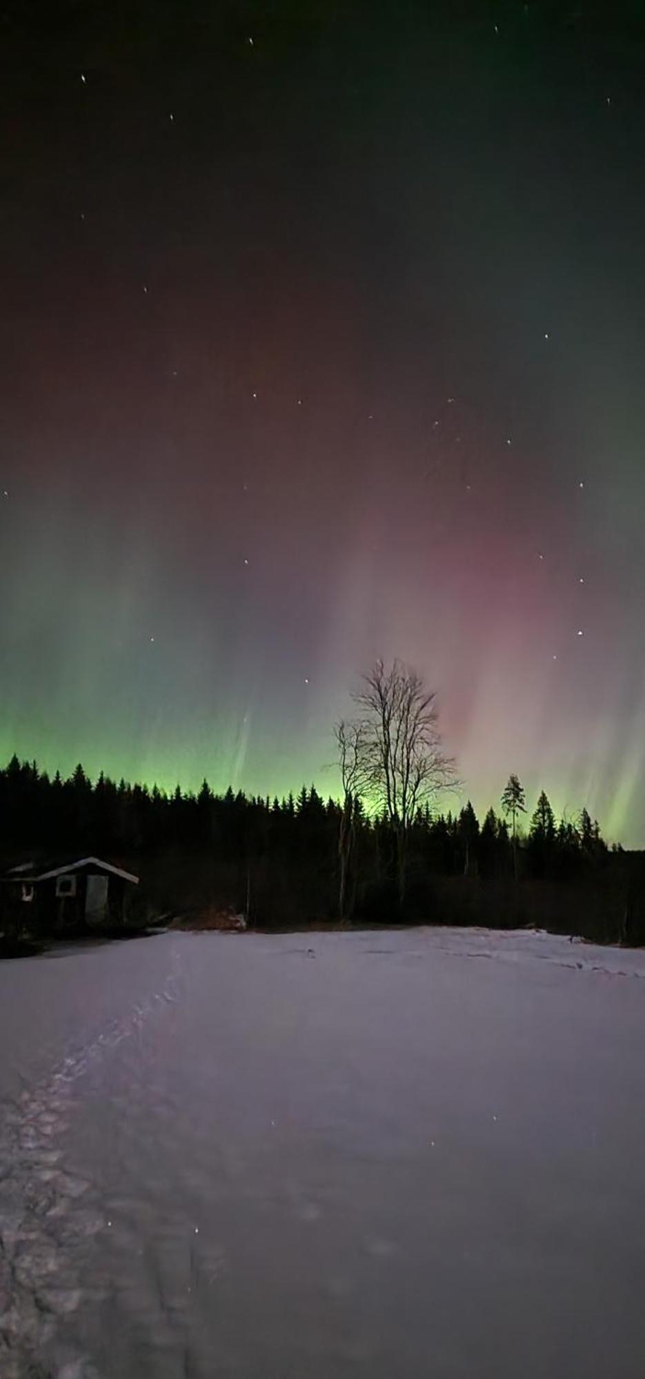Nygard Cabins - Brandnew, Fully Equipped Home In Nature Sunne Extérieur photo