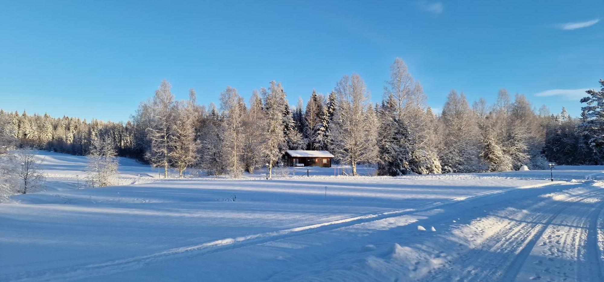 Nygard Cabins - Brandnew, Fully Equipped Home In Nature Sunne Extérieur photo